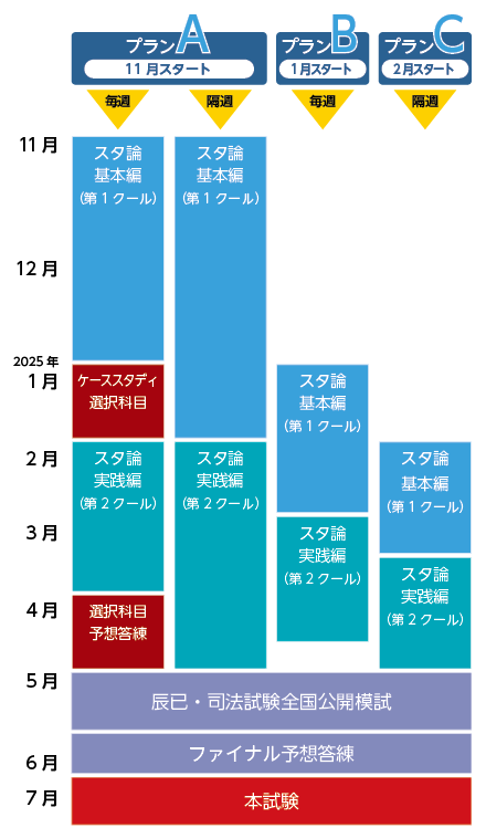 スタンダード論文答練【基本編】＋【実践編】 - 辰已法律研究所